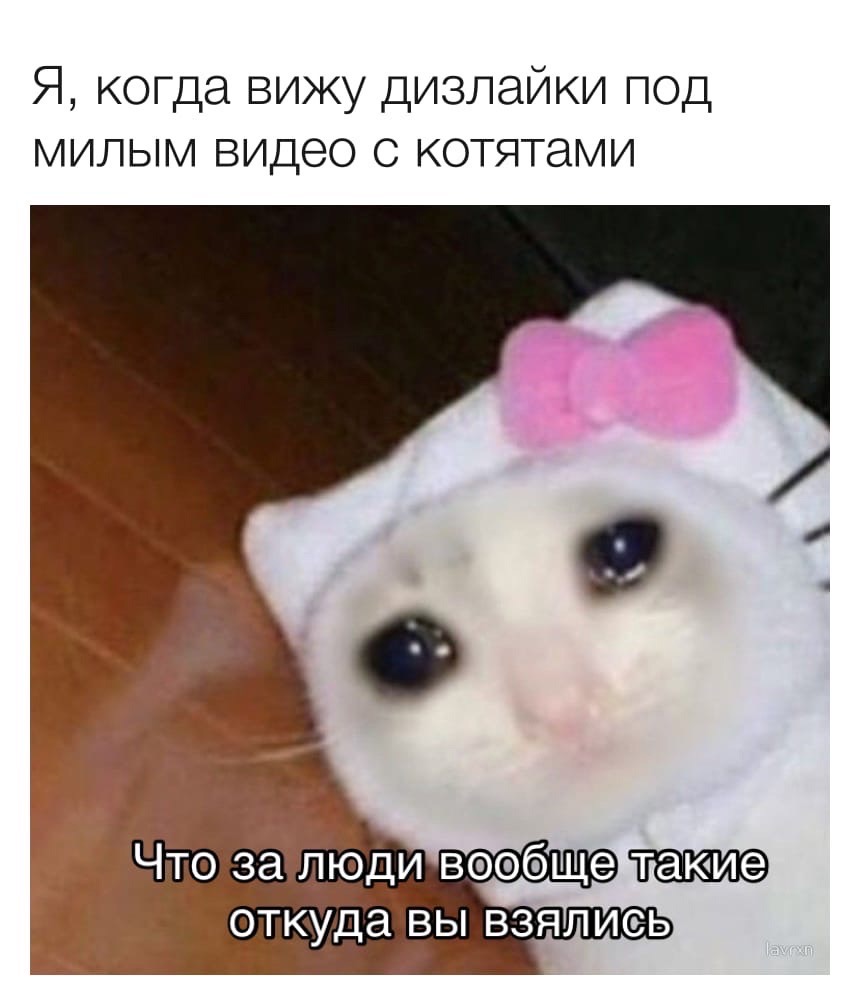 510EA4E6-A12B-4598-AA8F-018152B5D0EA.jpeg