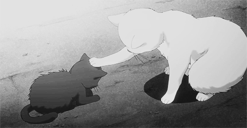 53213635-F5A2-45E0-BA55-FAECAF77DE84.gif