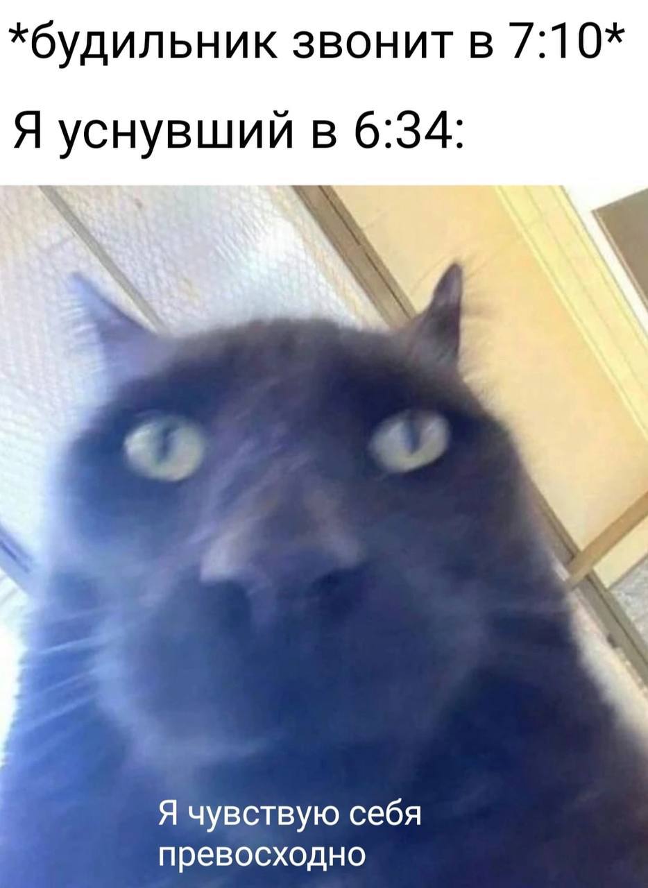 542EEA04-F0A7-48A8-B207-E5DEE1CF1EB7.jpeg