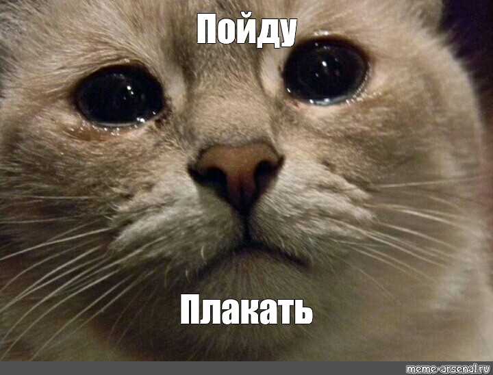 576754ed6622add538b2ec5b0535d175.jpg