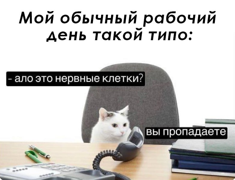 5D6DD903-494D-4D47-9E25-B29809D51E98.jpeg