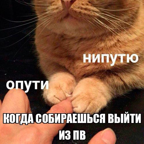 5ef278dfb1c7e344cc3b257f.jpg