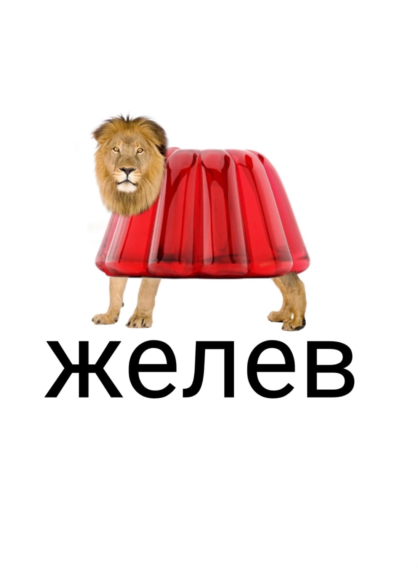 5F855A1A-EE9E-4220-B640-679C4A6AA1F3.png