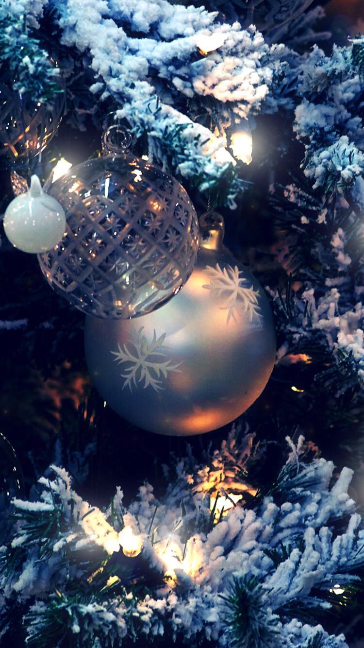 60c6588cb111122e32422c5f5859c526.jpg
