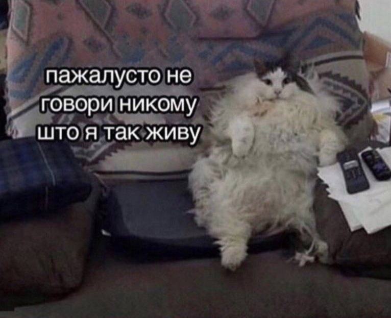 63767A0C-9F5E-4EB0-9903-825D719D7DB0.jpeg