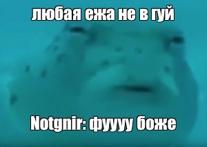 66676DC6-01C7-412E-903B-5629EF530B51.jpeg