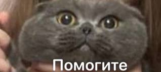 673B27D4-B6C8-4BE3-9A03-7469DE1F6BA5.jpeg