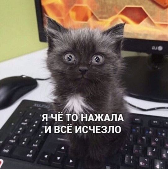 69E36845-9816-4ADC-9B55-29398A3EF403.jpeg