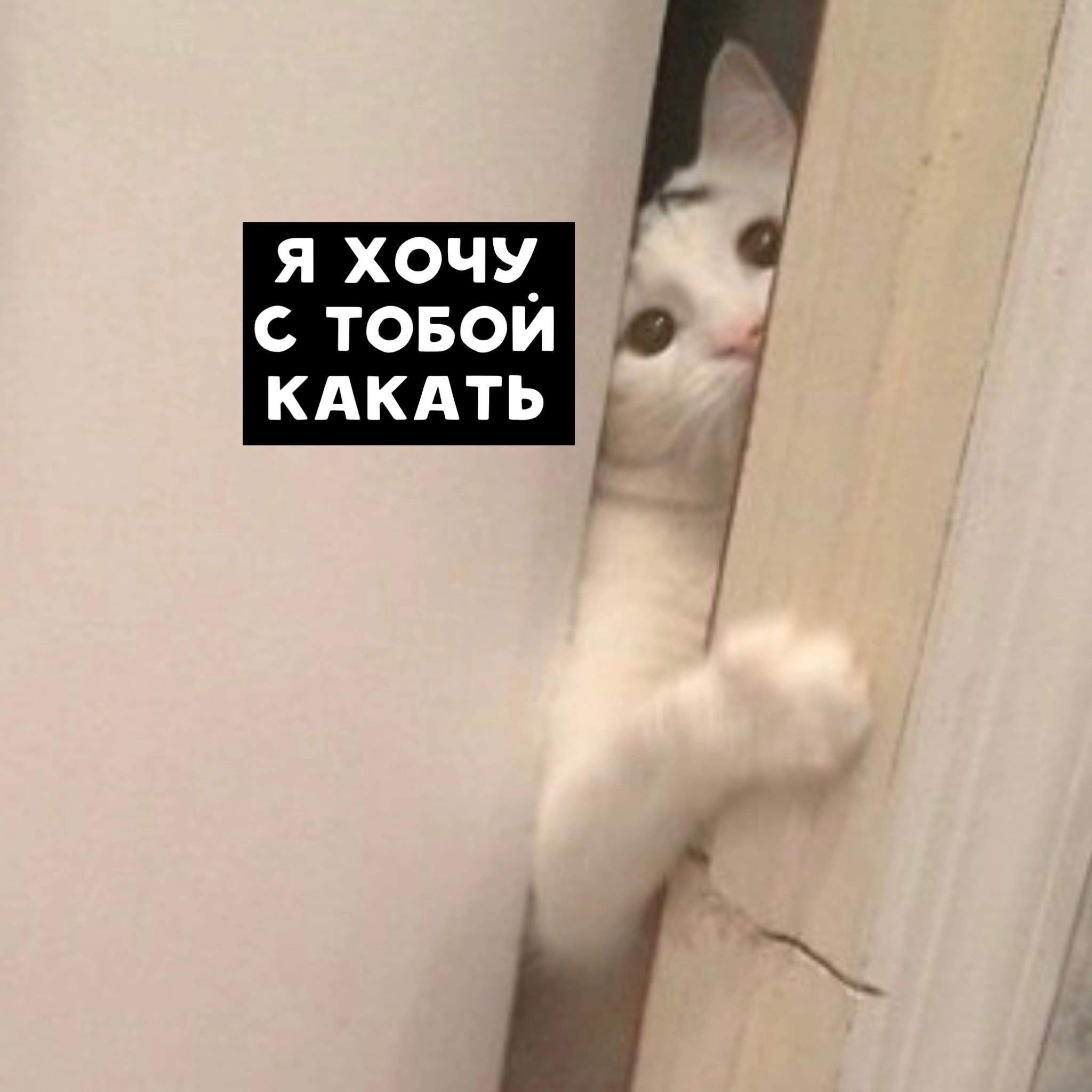 6C16B17E-9273-49B4-A6B8-36F22E2FB7D9.png