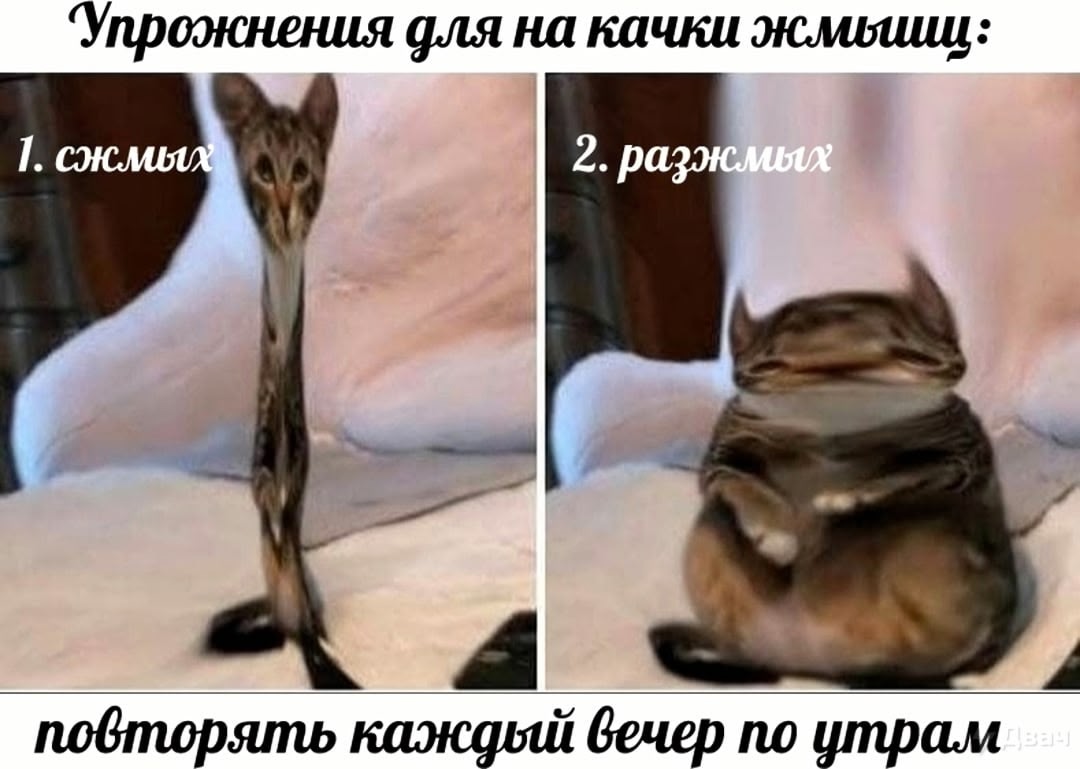 6LH9_AXY_M2k6T596uHRVxdQBslSfl6swUtIyE1ZIg0RmnT6_rpDPNsTJc3i5Jiw7Pi5Wcu9jGzPGT9l5p3Jhp6I.jpg