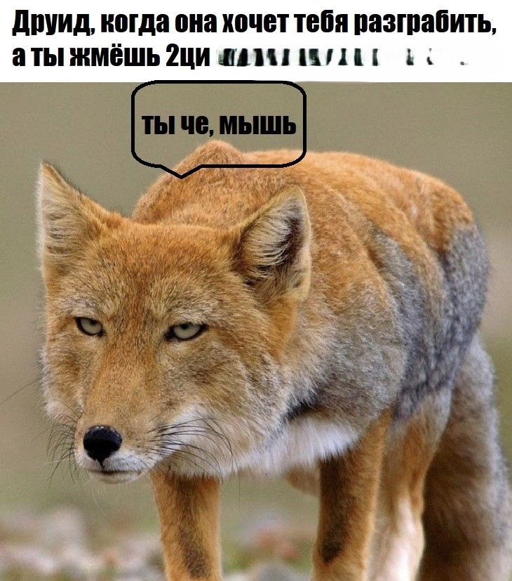 6Qn90rXAZiHmRHPyeFIgp3DAJMuCcqxcBCppUWEWN58trOHDxmoYH1mrE8uEPj892QemSX_LZ1OtknGz9Hy4bGkZ.jpg