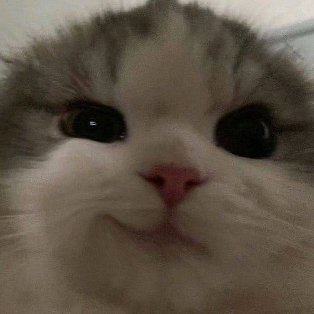 6ZiMMAl3Cb5zBIIfyyF7wdHxyrNLL-QnzRtvxjCE23MiKxSXeJVxGHnrURq7rHeNBtNQNjFSIgAgdcTGSuFCiJv-.jpg