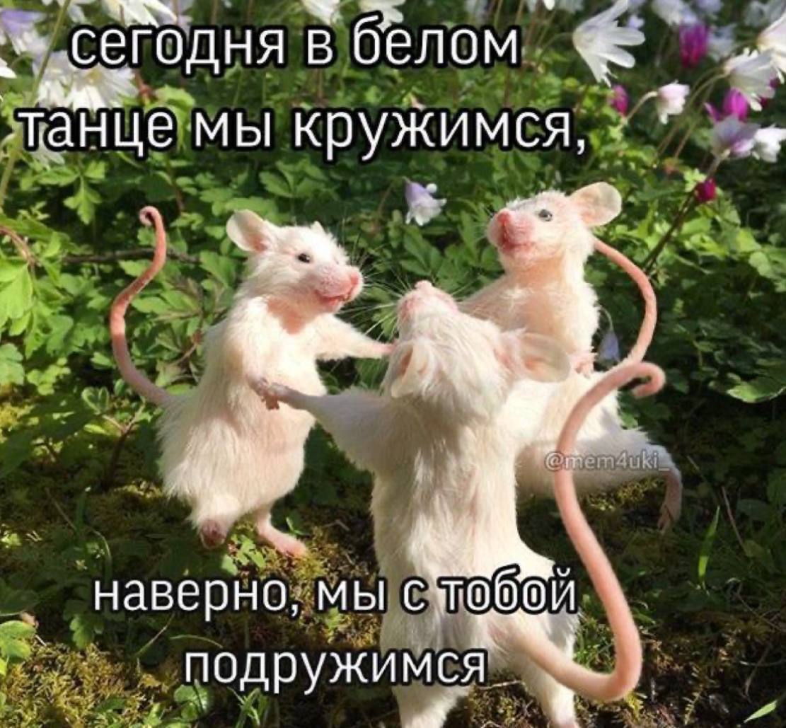 70A53913-091D-4B4F-AB44-20DAC6A74646.jpeg