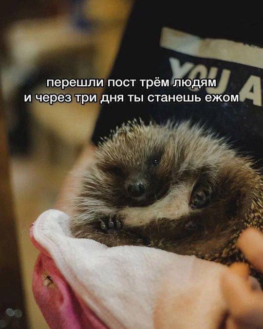 71D992EB-08C0-4159-96C8-D25FA1C75A2C.jpeg
