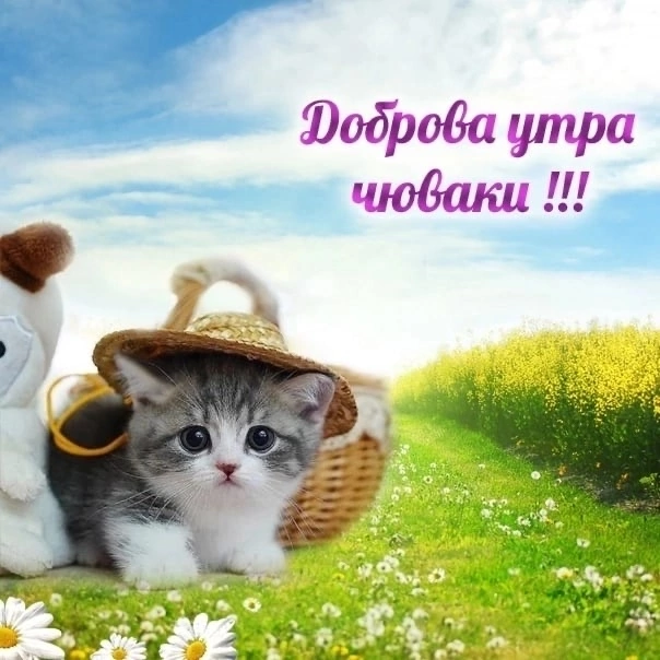 72A5678E-1130-45EE-978F-2BB67C465E47.png