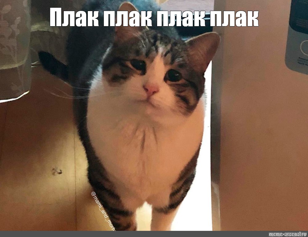 7650df556a57590d2340f3f49a36fd4d.jpg