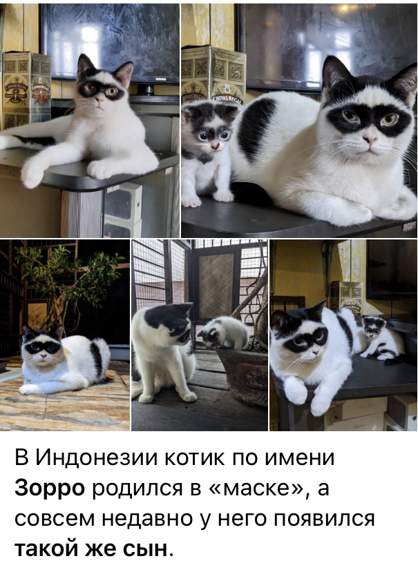 77A06279-C444-465D-8096-C514359E77FA.jpeg
