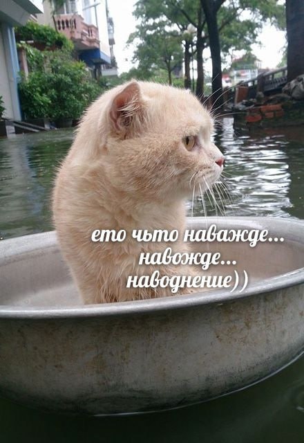 793A8315-3835-4E78-BF38-782115365259.jpeg
