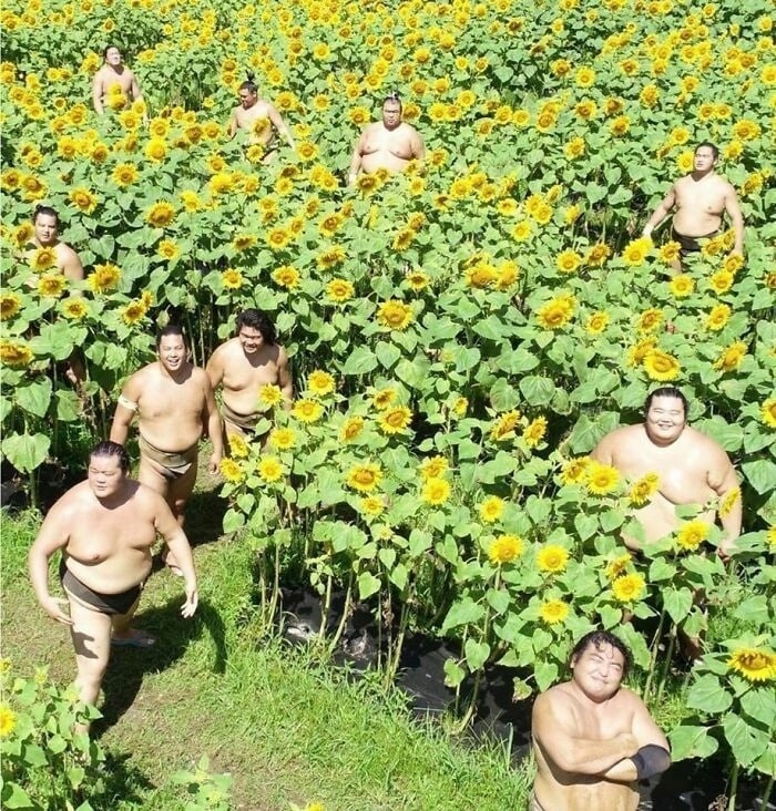 7_frbRSBBYT-umE3abeFkTPpSXNFMPkzoJnNYYOGVhbGbbQZAlURuvDG7JdVl8ojD_WYCW4nhyvkBiH54V1nlusb.jpg