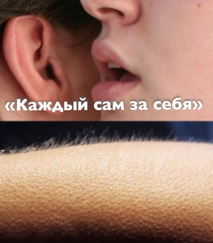 7BA7DB20-80AD-409A-B1A6-CEAB691C5C2F.png