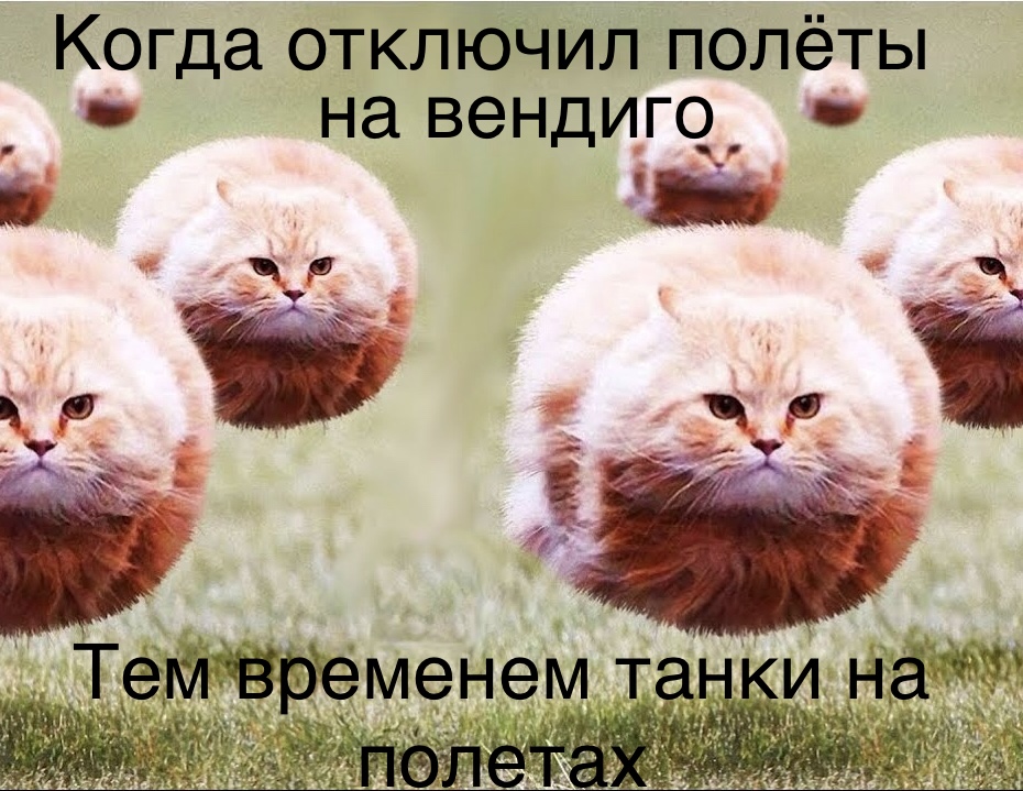 7D37B481-D052-4309-BD0B-F676325EBF7D.jpeg