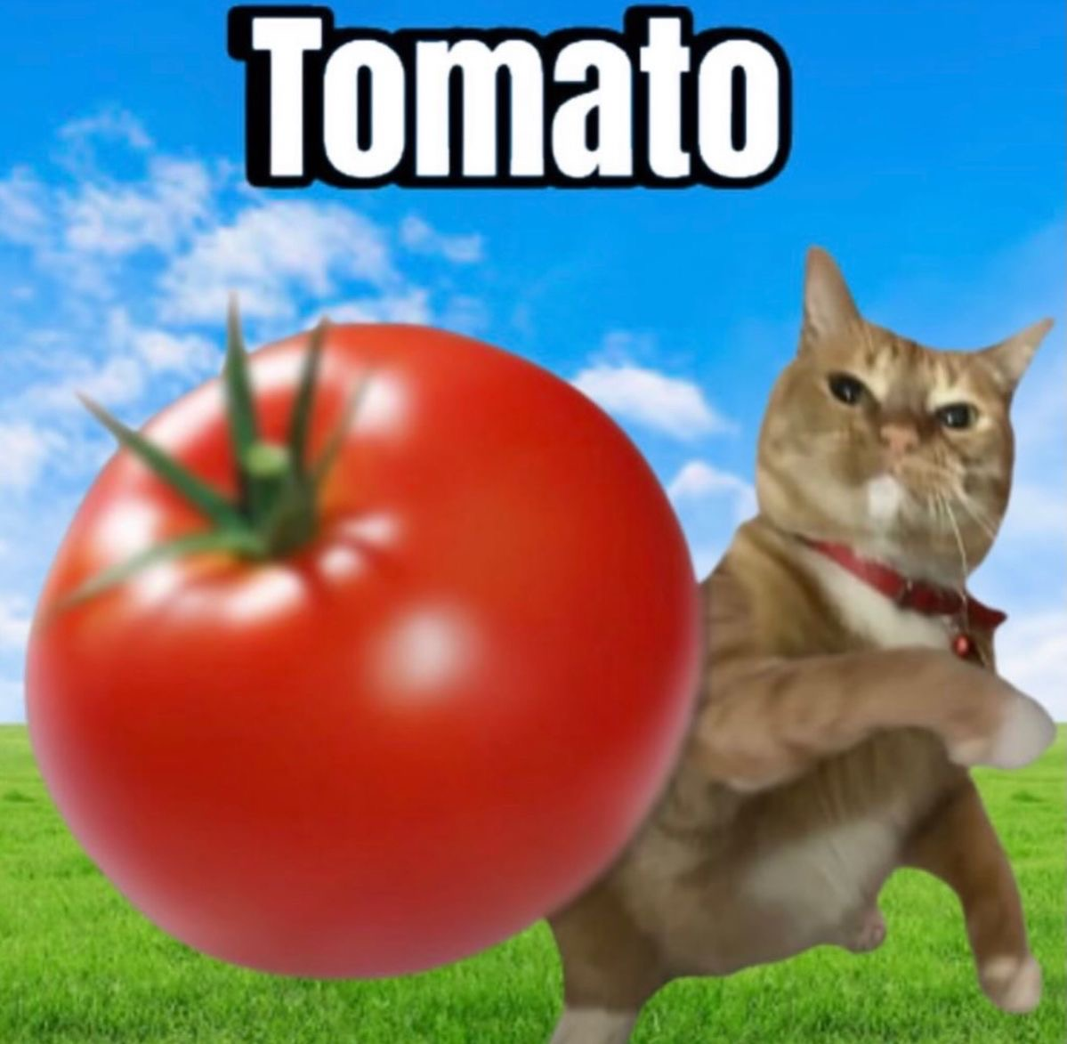 810466A2-6E25-43A0-9544-66DA89B2D486.png
