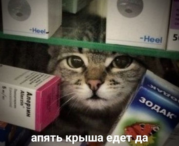 814B7B6C-7AA3-4D1A-BF98-CAECDFF4A5E8.jpeg