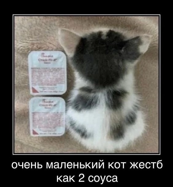 814D3E45-E89C-479D-B9AC-0CA762D18F88.png