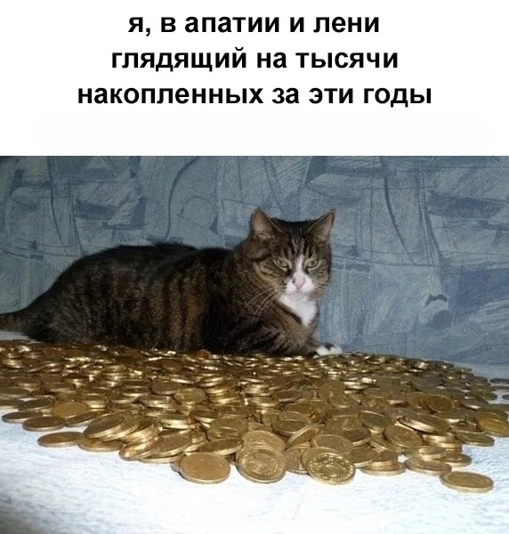 85QJoSLjWb9zvOhE-P8uwf7WxAz4hRPZ0sOz1cbD8nboGwgMZymx9jGN45yItOj3Mzryk_JIbFZBrhi5wAJwXkwJ.jpg
