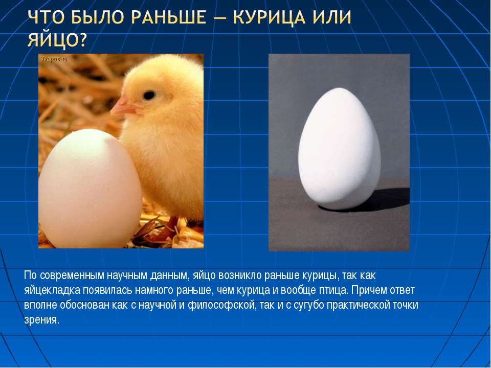 875a8375f91de049494d6073098e8a2f_c4ed1f45902fbdf35285ca70d9c56890.jpg