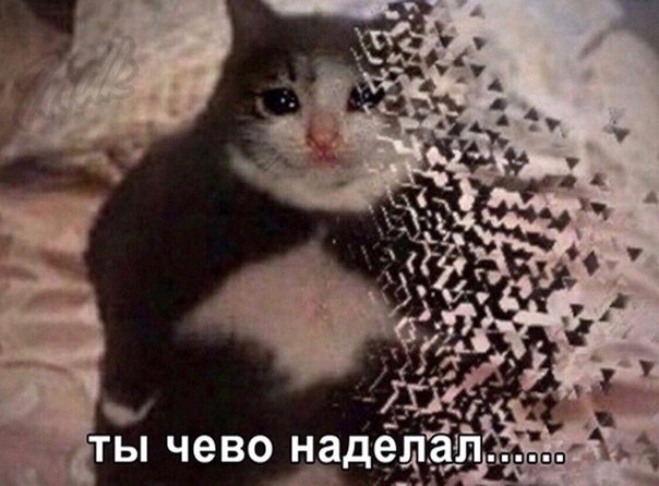 878787.jpg