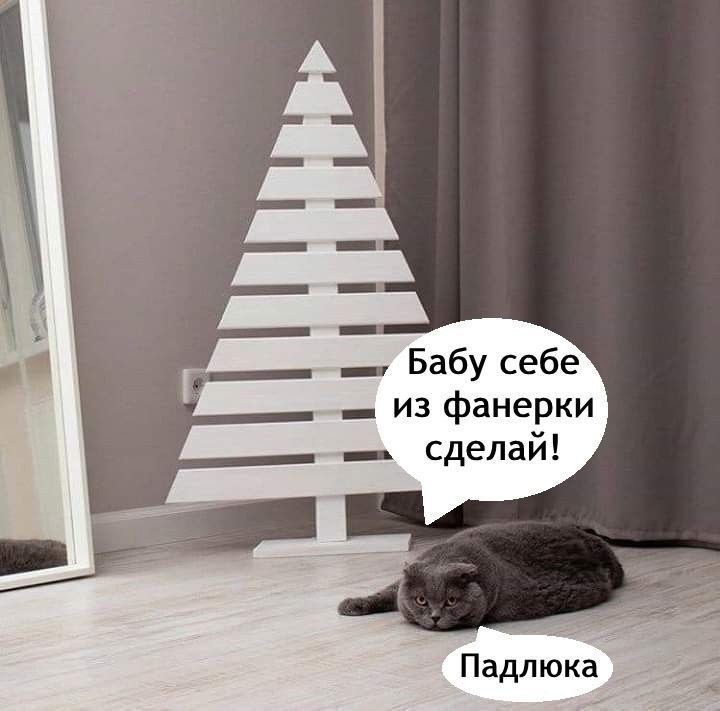 88AB3877-1AAE-4FF5-BC40-D27686B2E769.jpeg