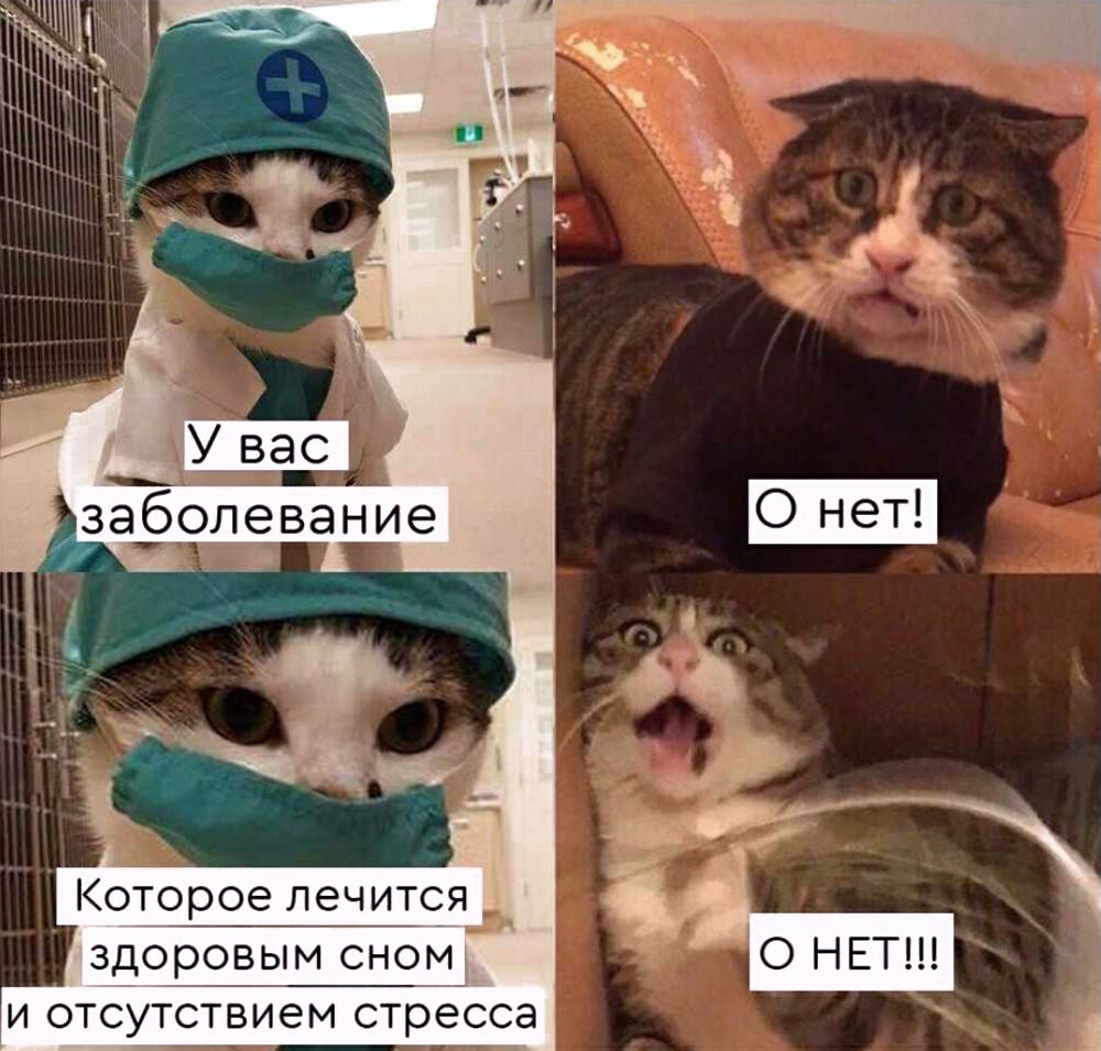 8jvwtSGrrmYrZScUypIVGZnQAjCTBC2gi9jBkGx-PnWriIWLGiYxbyPPpRt9l9U5IUZqNBIVqf8Dc_qwPKdFe-oF.jpg