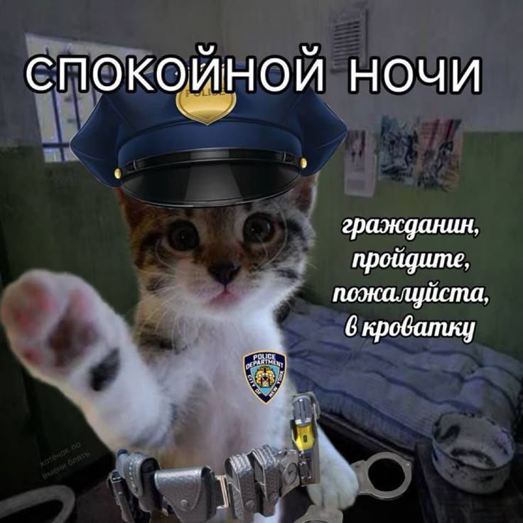 90e2e855551ccac59e015c81dc446daf.jpg