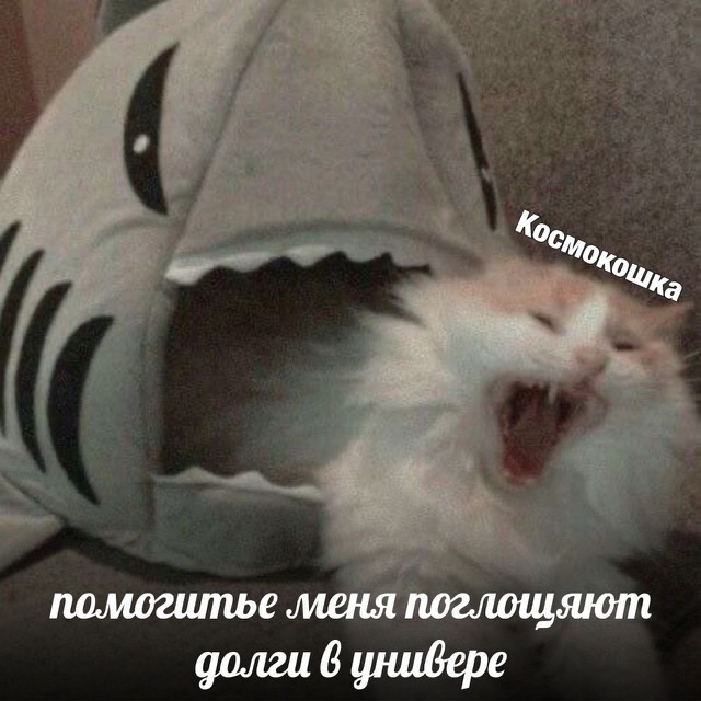 90F35177-9920-47AC-A1FC-F421267B666D.jpeg