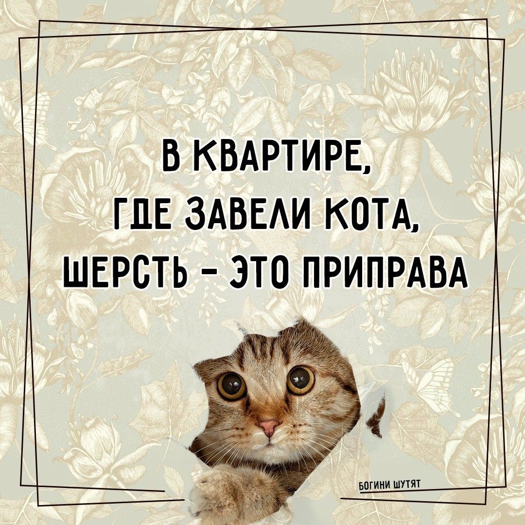 9313113A-3A23-406D-BD91-74FEC0C1B9D3.jpeg