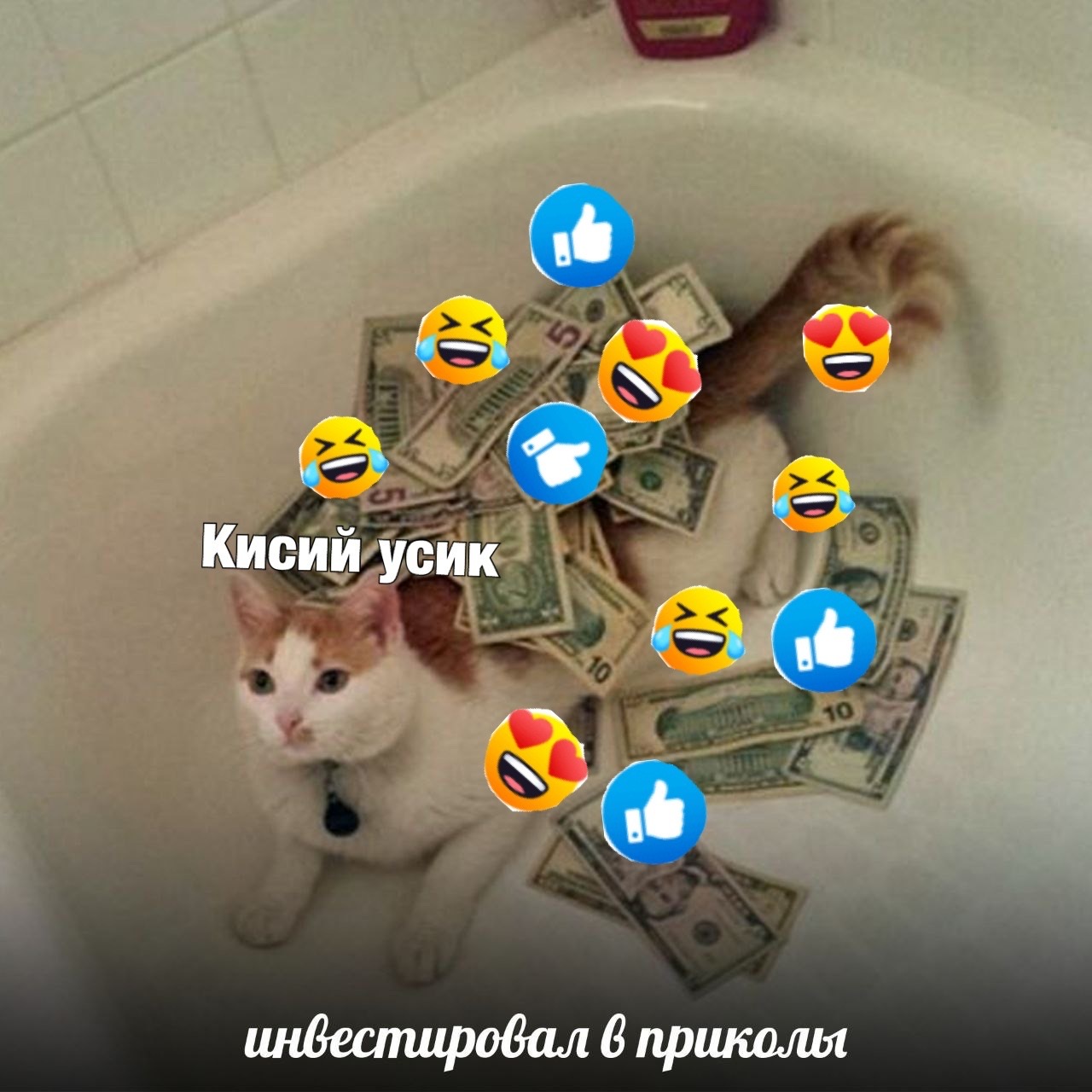 96D2A342-1E32-49EA-B0EC-AA2B3EBBC67F.jpeg