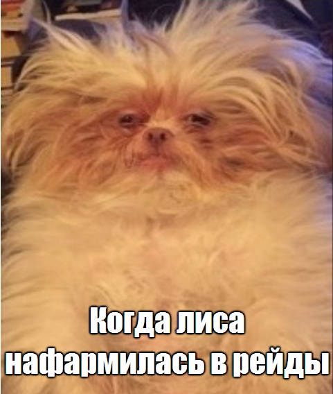 99.jpg