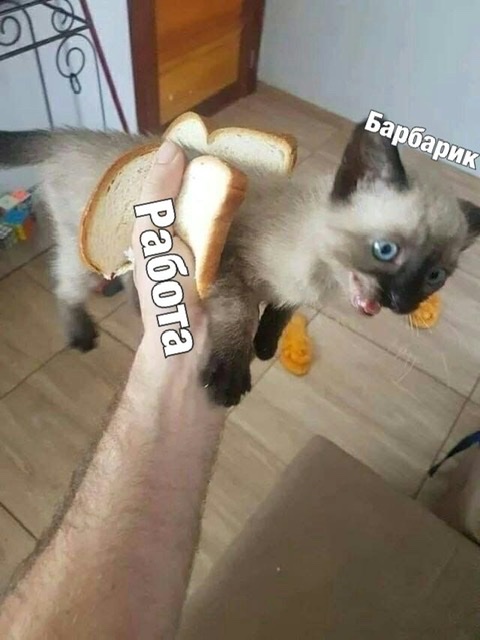 9991D49D-5C85-4FF9-BF4B-7D57B641253F.jpeg