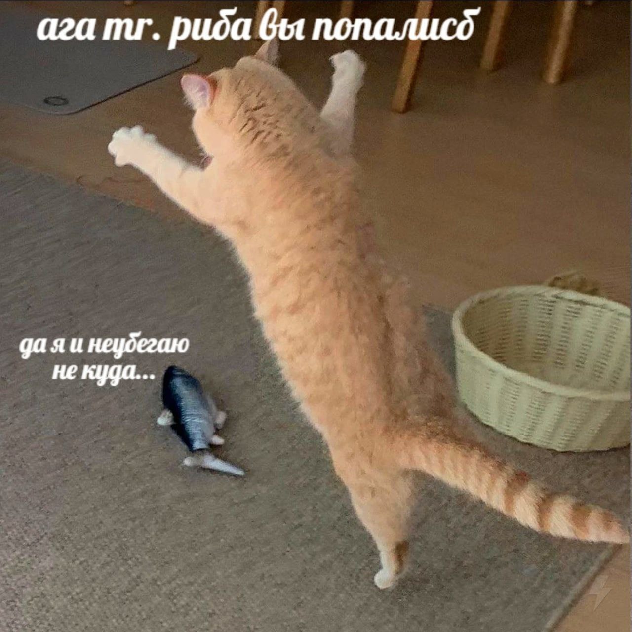 9B8B8302-136E-4D6D-A862-3EEB290BD05E.jpeg