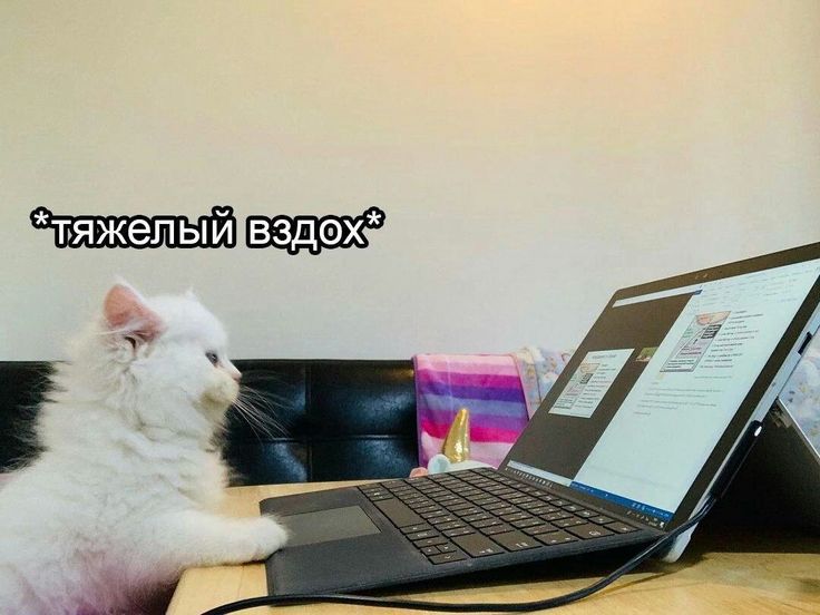 9E62E91D-4B66-4B0C-BDD1-98717BF3F64D.jpeg