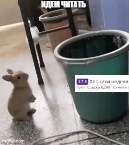 9zkp7h.gif