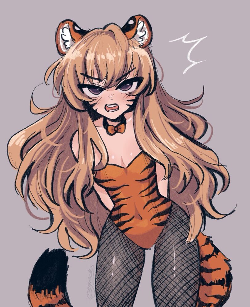 _megrocks-Aisaka-Taiga-Toradora-Anime-7854813.jpeg