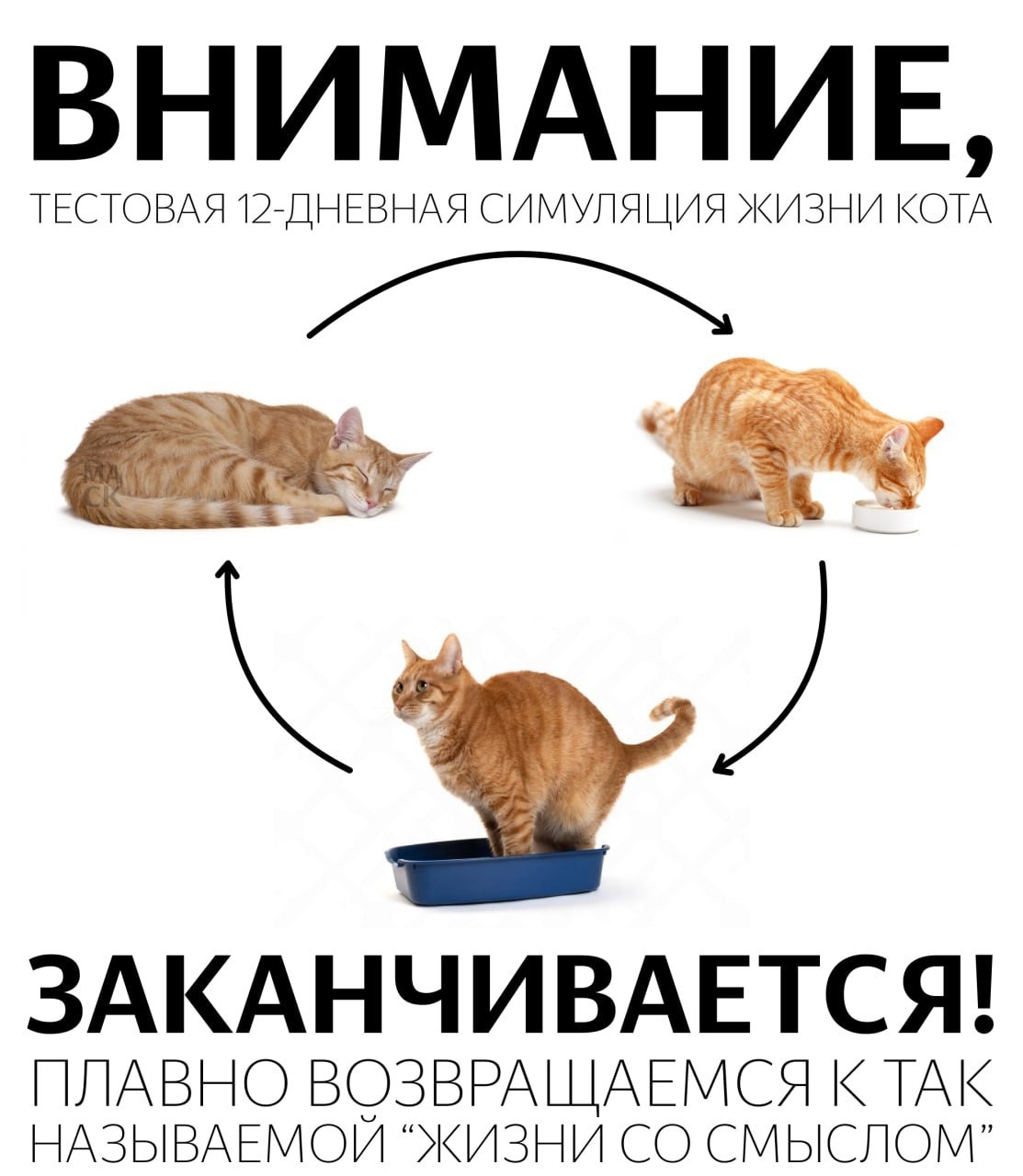 _mZCwgE0wDo.jpg