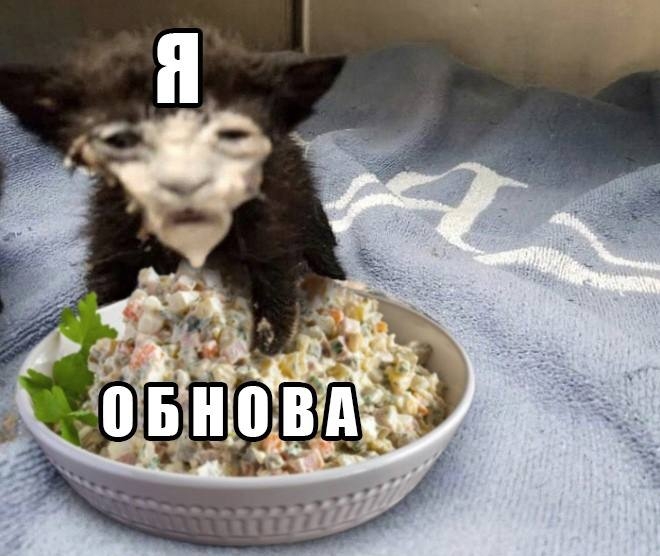 _x_O_JIjvTAB1hMpwoQWqhuQf5QGWJ7VRqQ4ueqfvWGHBnMhuJ3etbGSIztjQs8TF57U_3M3U_2x_Nzxnj8TIh0o.jpg