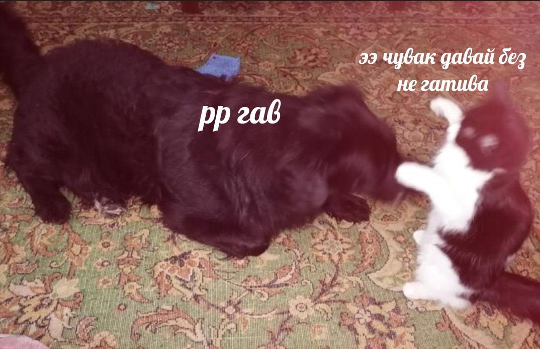 A062FC04-8BE5-45E5-B605-09EB37778C2B.jpeg