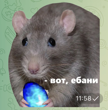 A29485AB-2E8E-4226-985F-05F9FE8E0496.jpeg