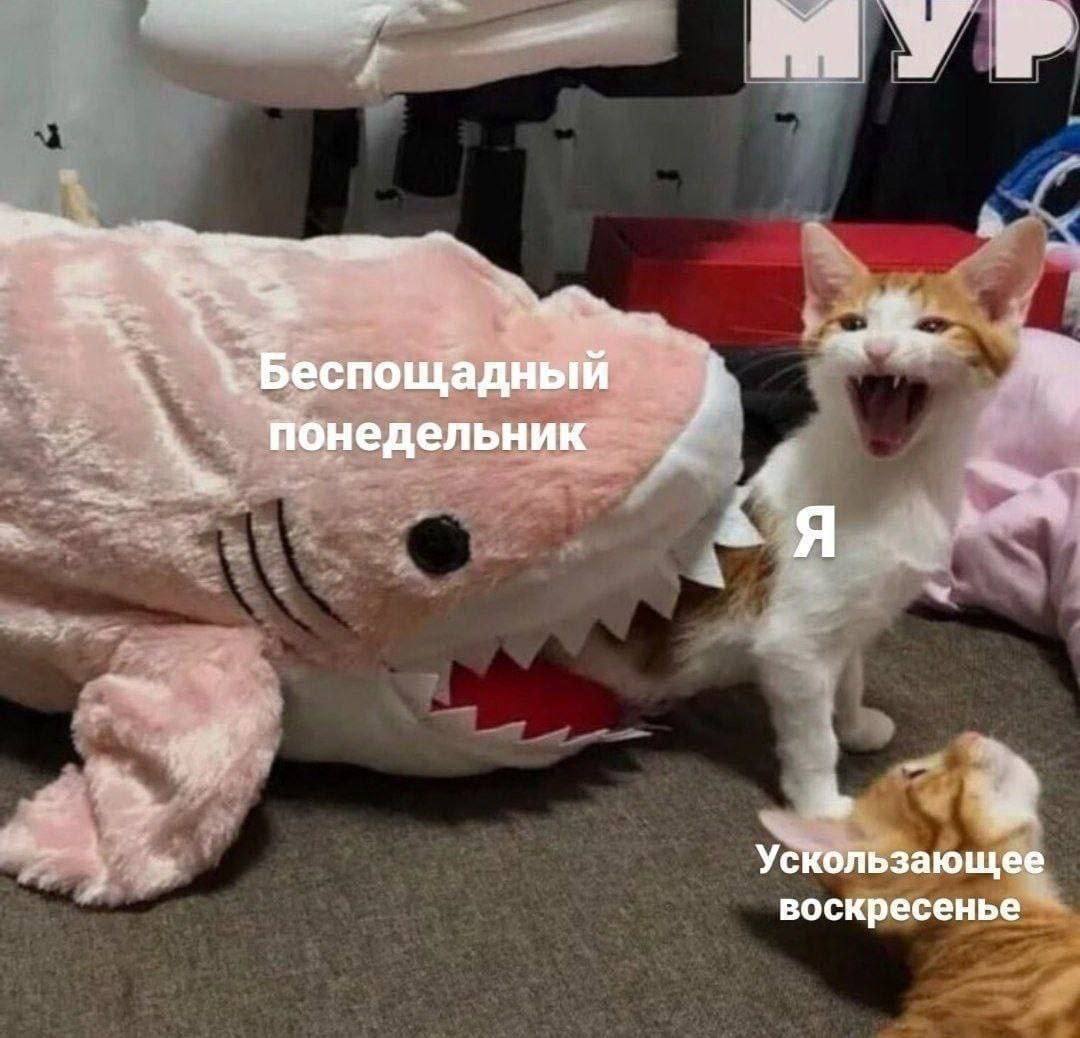 A39DCB78-FE13-4C3E-A478-CE078FD5CB12.jpeg