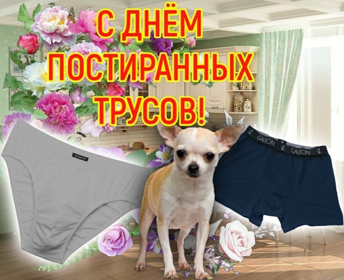 a3fcbaf94b6503bb6e80bc59e592ea2e.jpg
