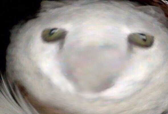 A47F87A0-3537-4DAA-BE9C-D4F5DF865E23.jpeg